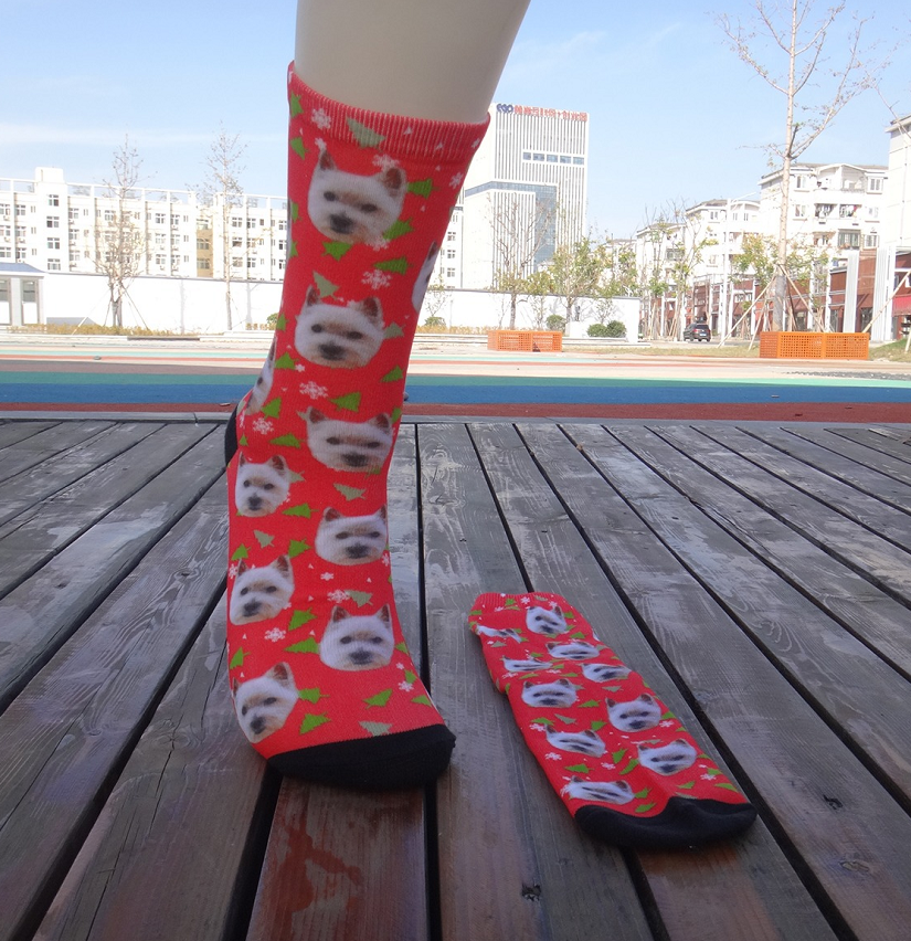 Mid-tube printed socks sports cartoon pet head socks