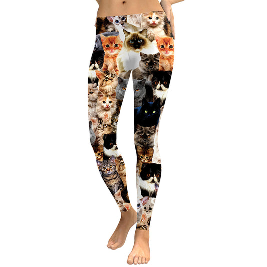 Women Leggings Lovely Cat Hologrephic Digital Print Fitness legging High Waist Workout Pants Casual Street Leggins